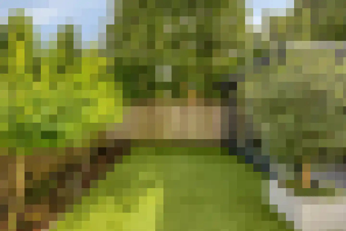 Vlasven 215 Veghel thumbnail 8