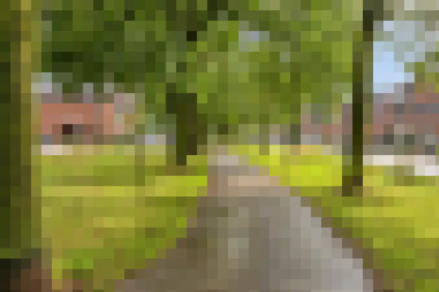 Vlasven 215 Veghel thumbnail 9