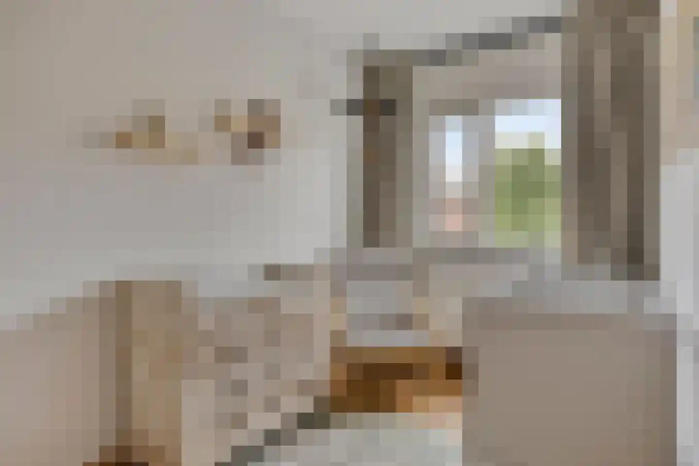Vlasven 219 Veghel thumbnail 25