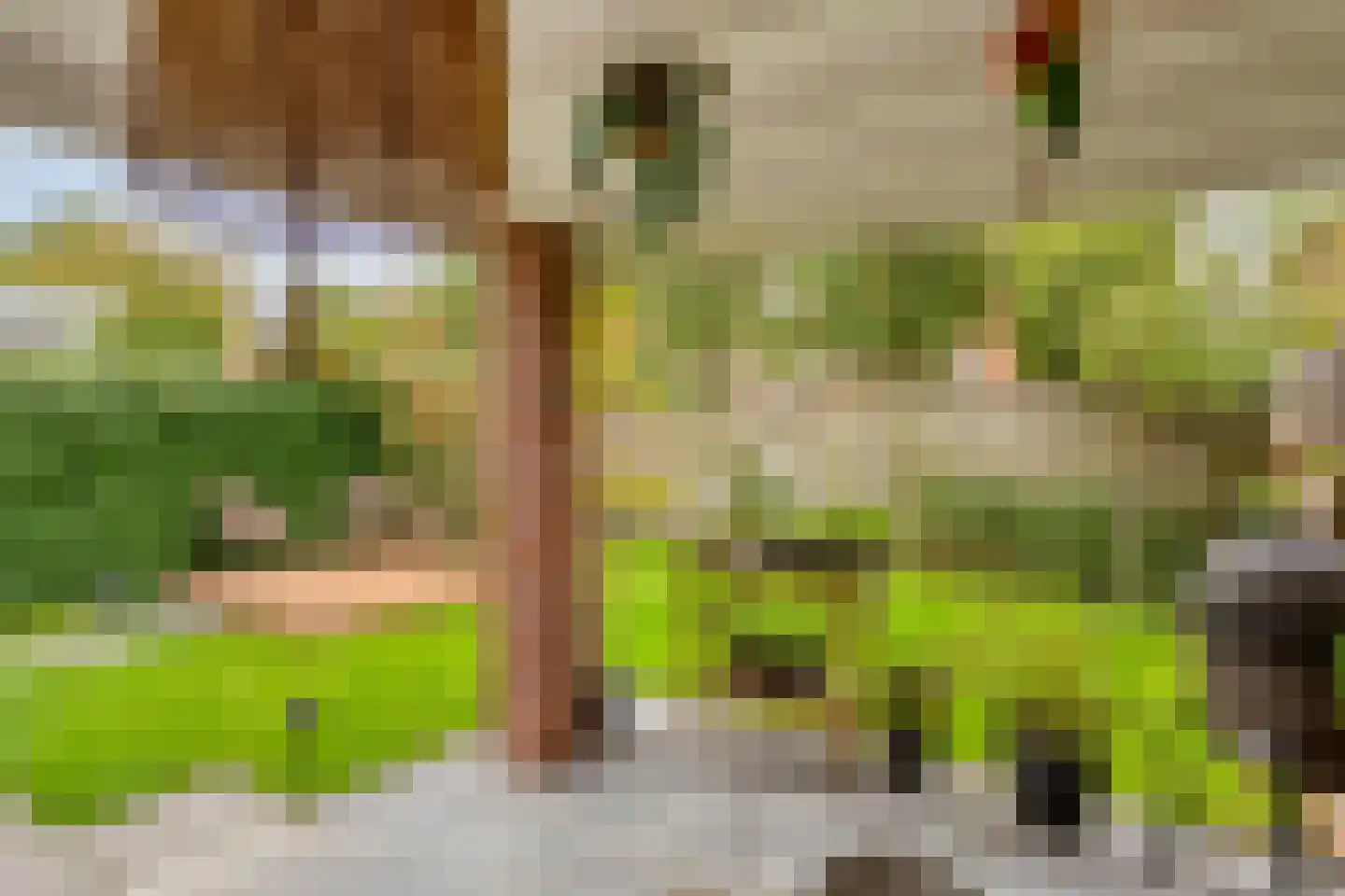 Vlasven 219 Veghel thumbnail 37