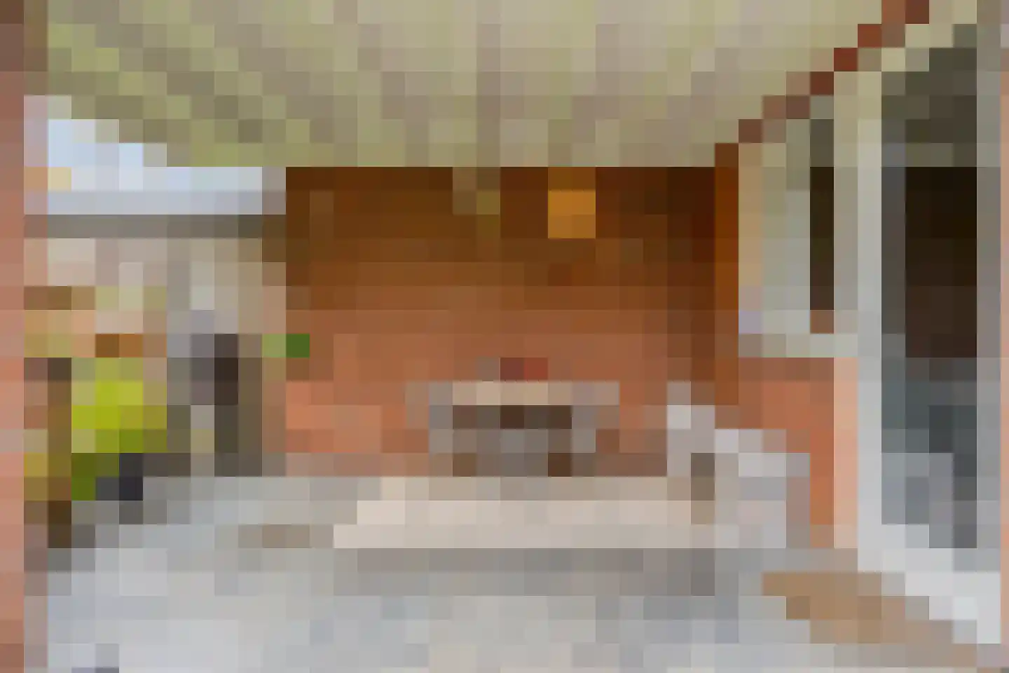 Vlasven 219 Veghel thumbnail 39