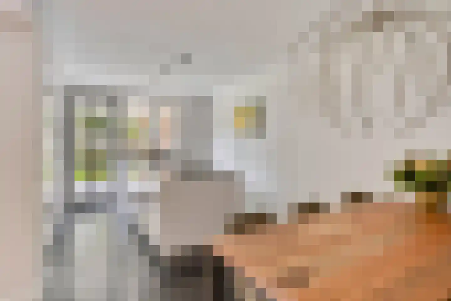Vlasven 219 Veghel thumbnail 4