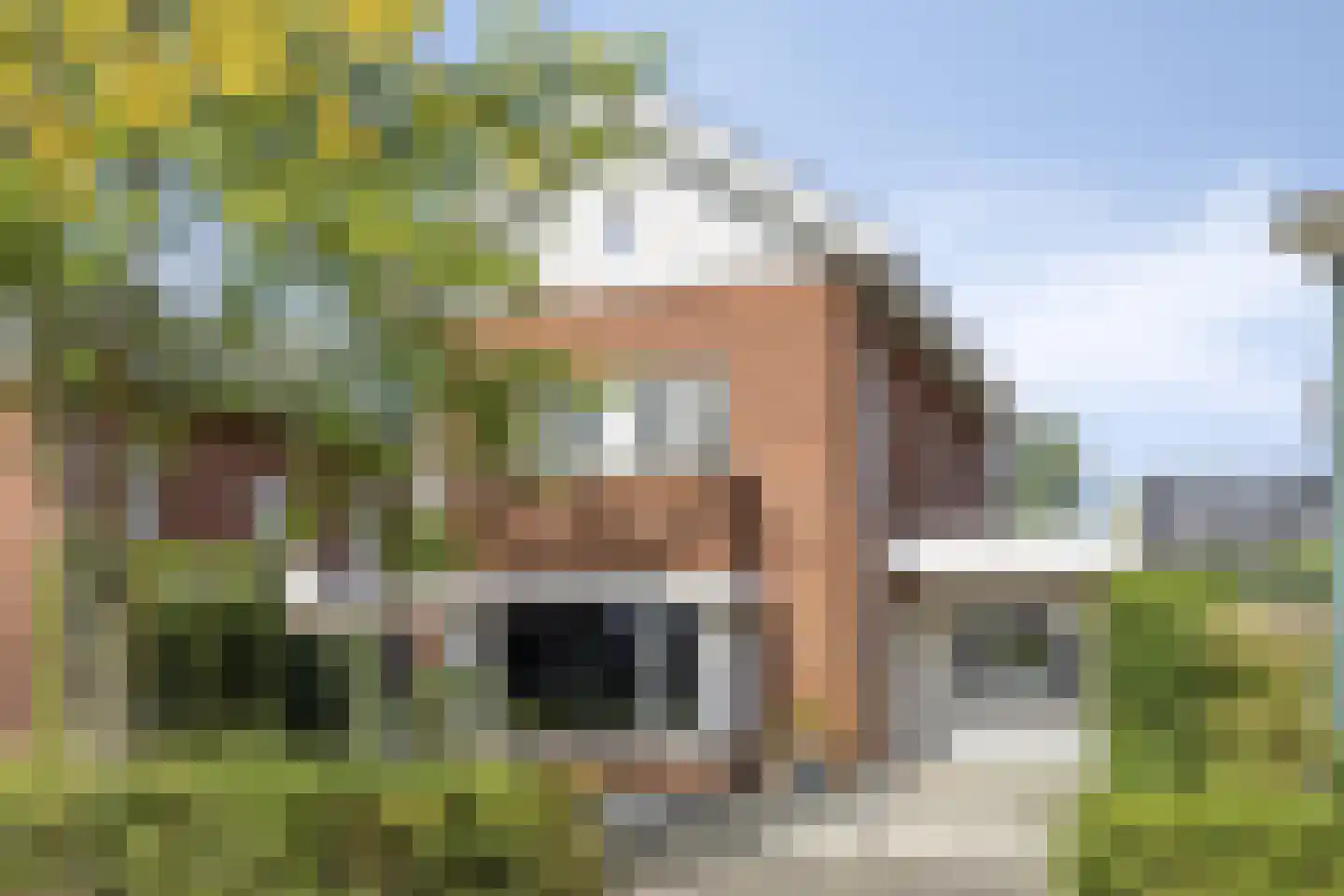 Vlasven 230 Veghel