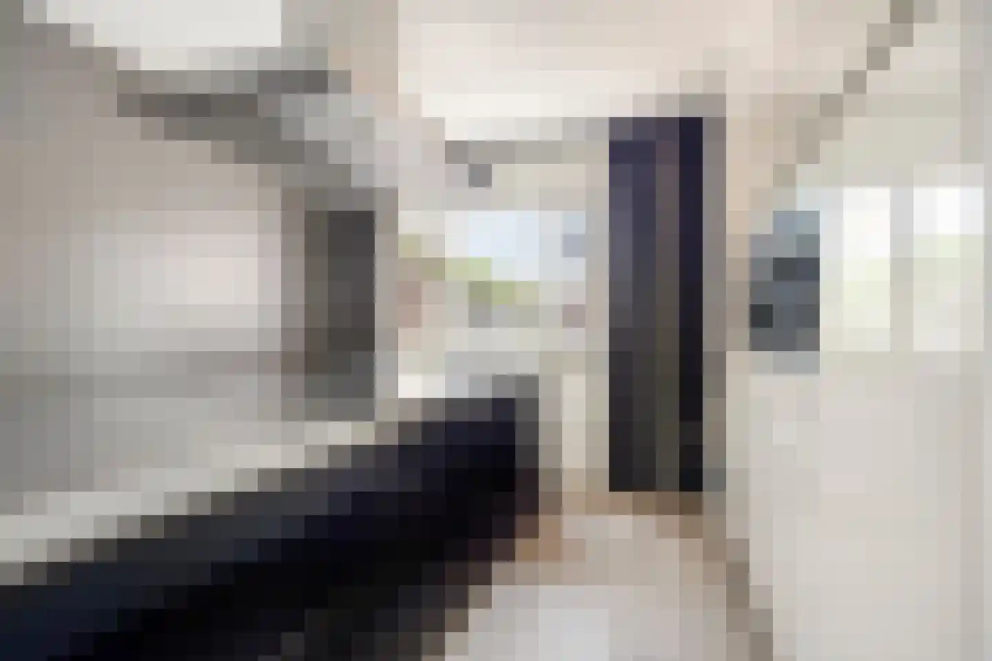 Vlasven 230 Veghel thumbnail 20