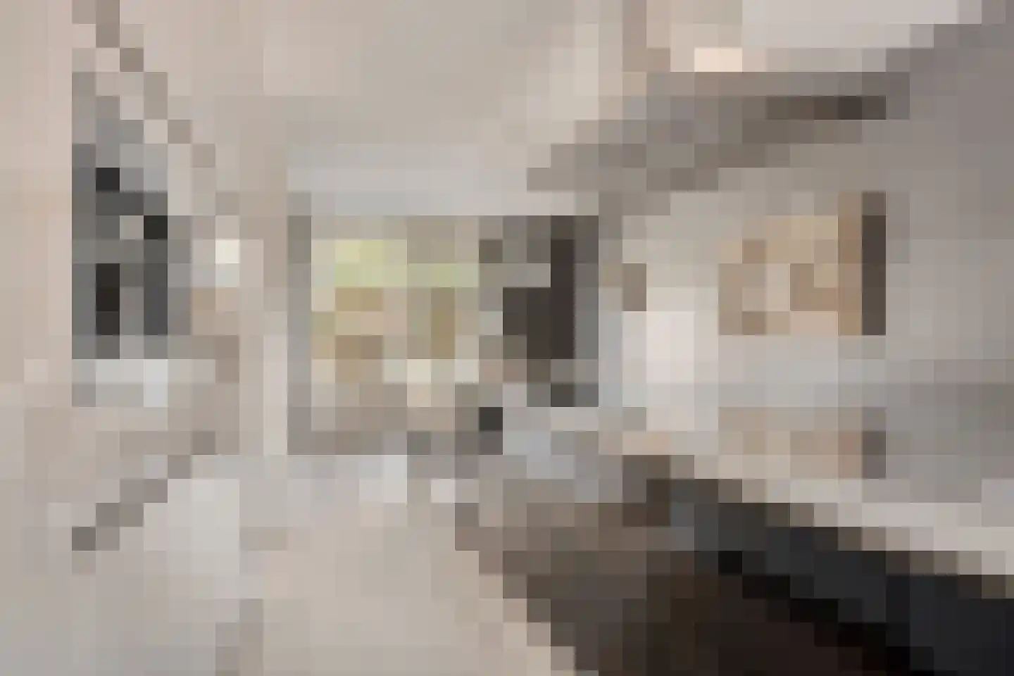 Vlasven 230 Veghel thumbnail 21