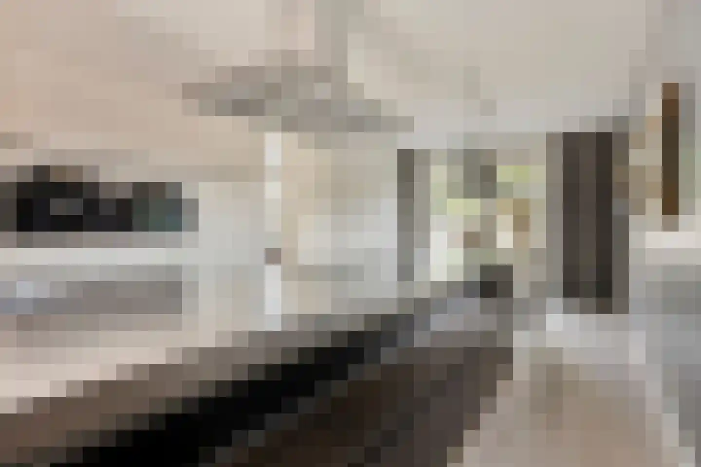 Vlasven 230 Veghel thumbnail 22