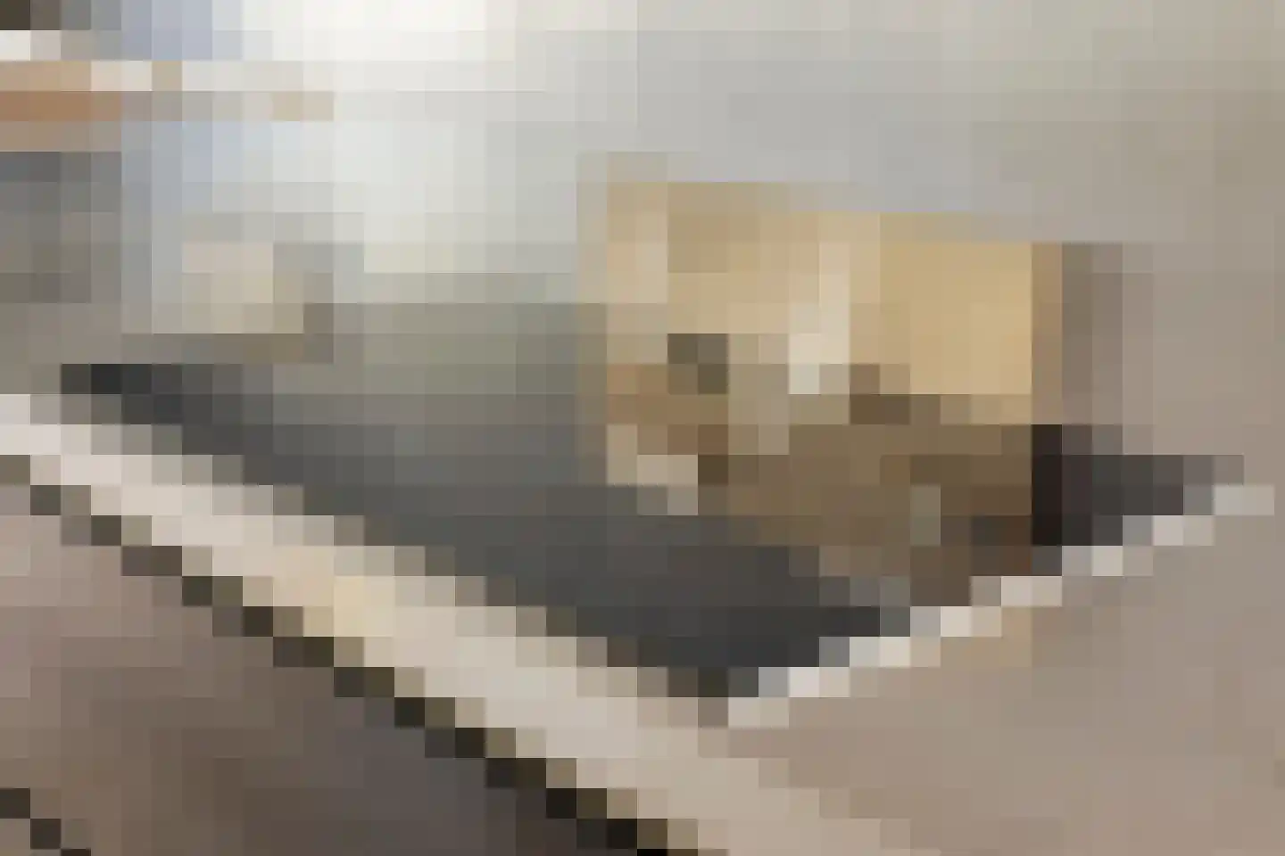 Vlasven 230 Veghel thumbnail 23