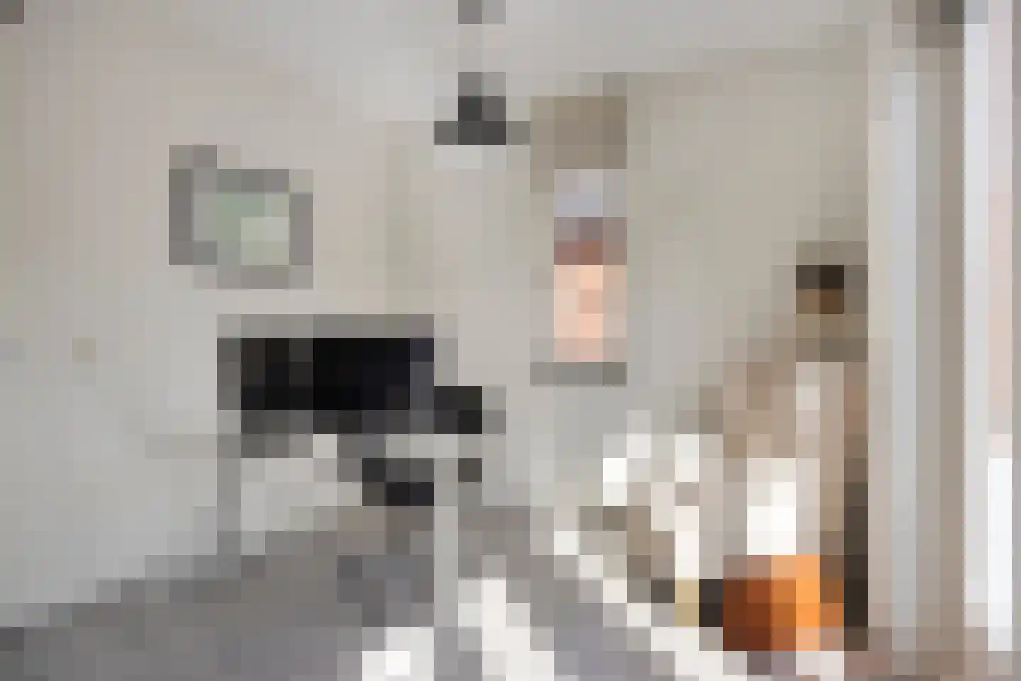 Vlasven 230 Veghel thumbnail 31