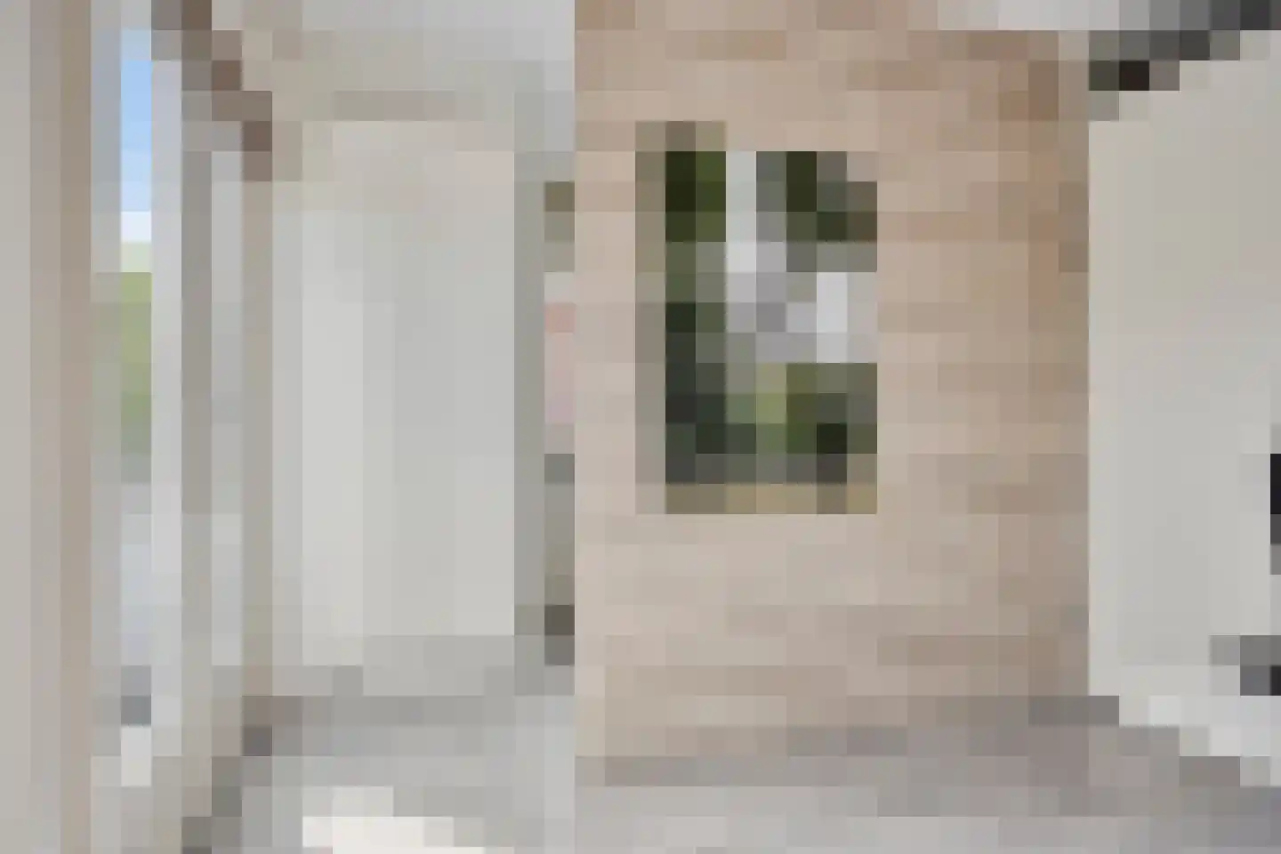 Vlasven 230 Veghel thumbnail 32