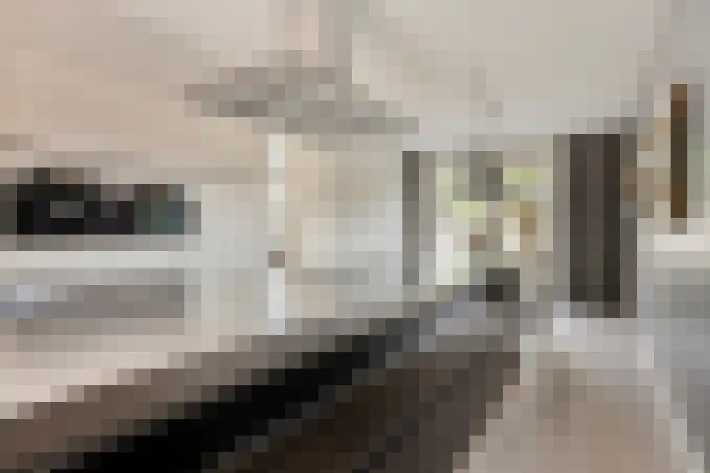 Vlasven 230 Veghel thumbnail 4