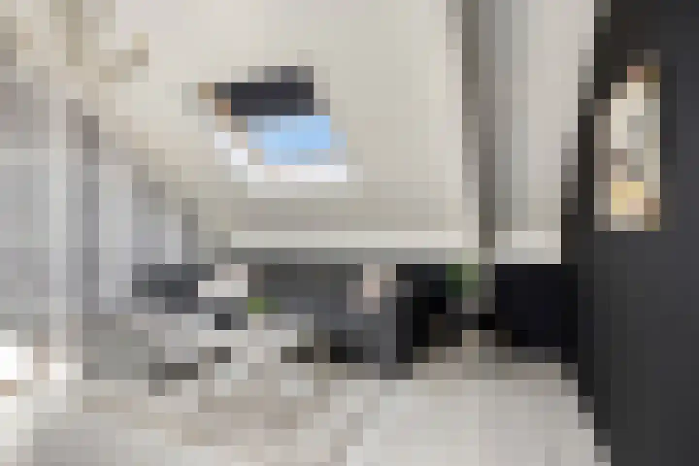 Vlasven 230 Veghel thumbnail 42