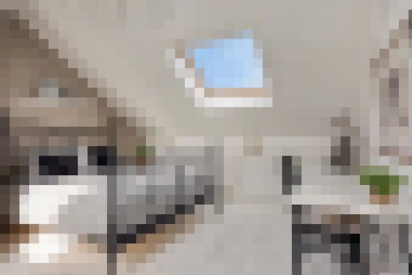 Vlasven 230 Veghel thumbnail 43