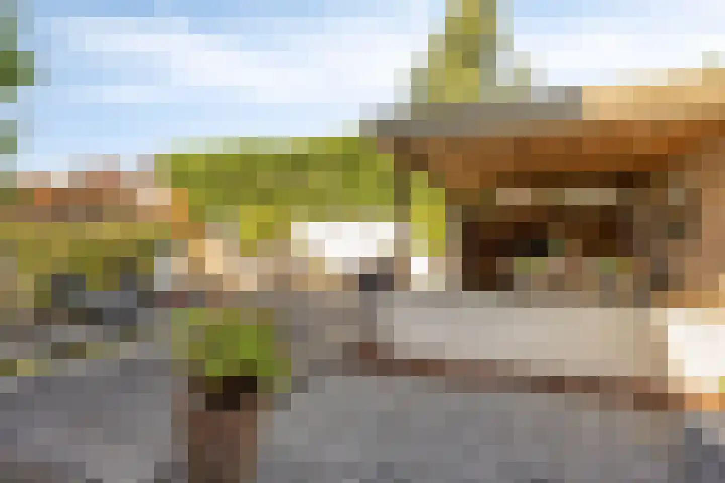 Vlasven 230 Veghel thumbnail 48