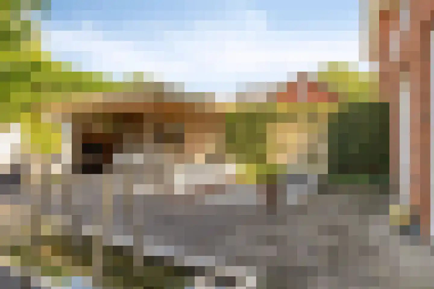 Vlasven 230 Veghel thumbnail 49