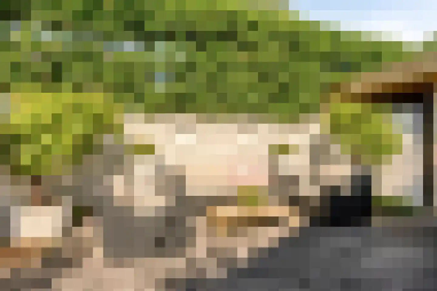 Vlasven 230 Veghel thumbnail 51