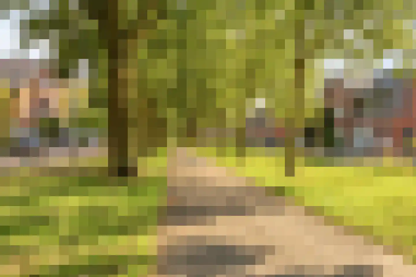 Vlasven 230 Veghel thumbnail 56