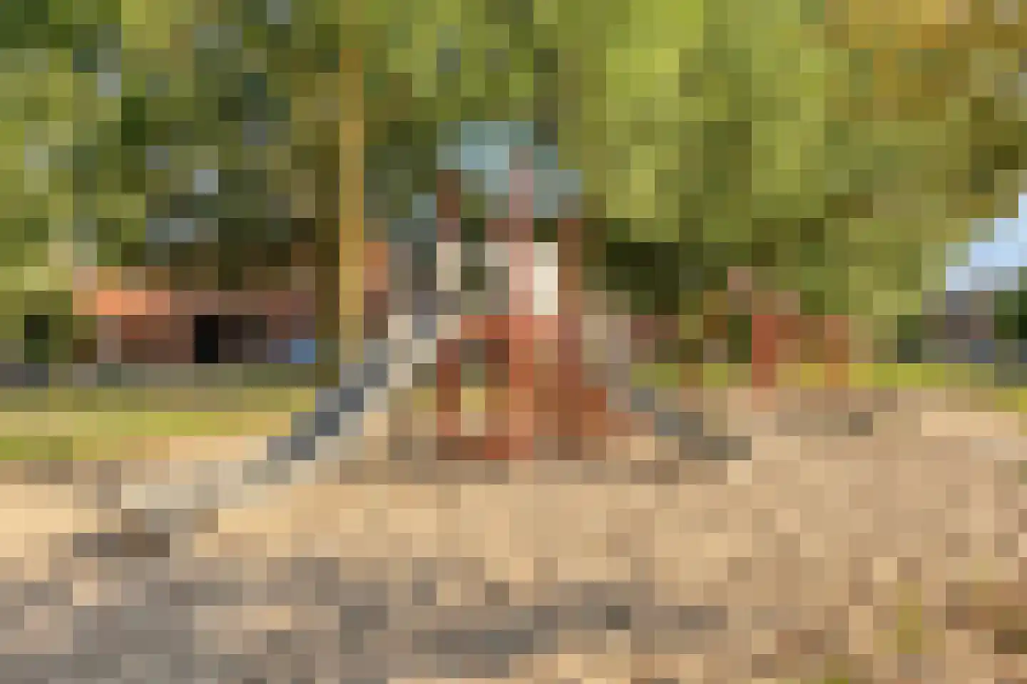 Vlasven 230 Veghel thumbnail 57