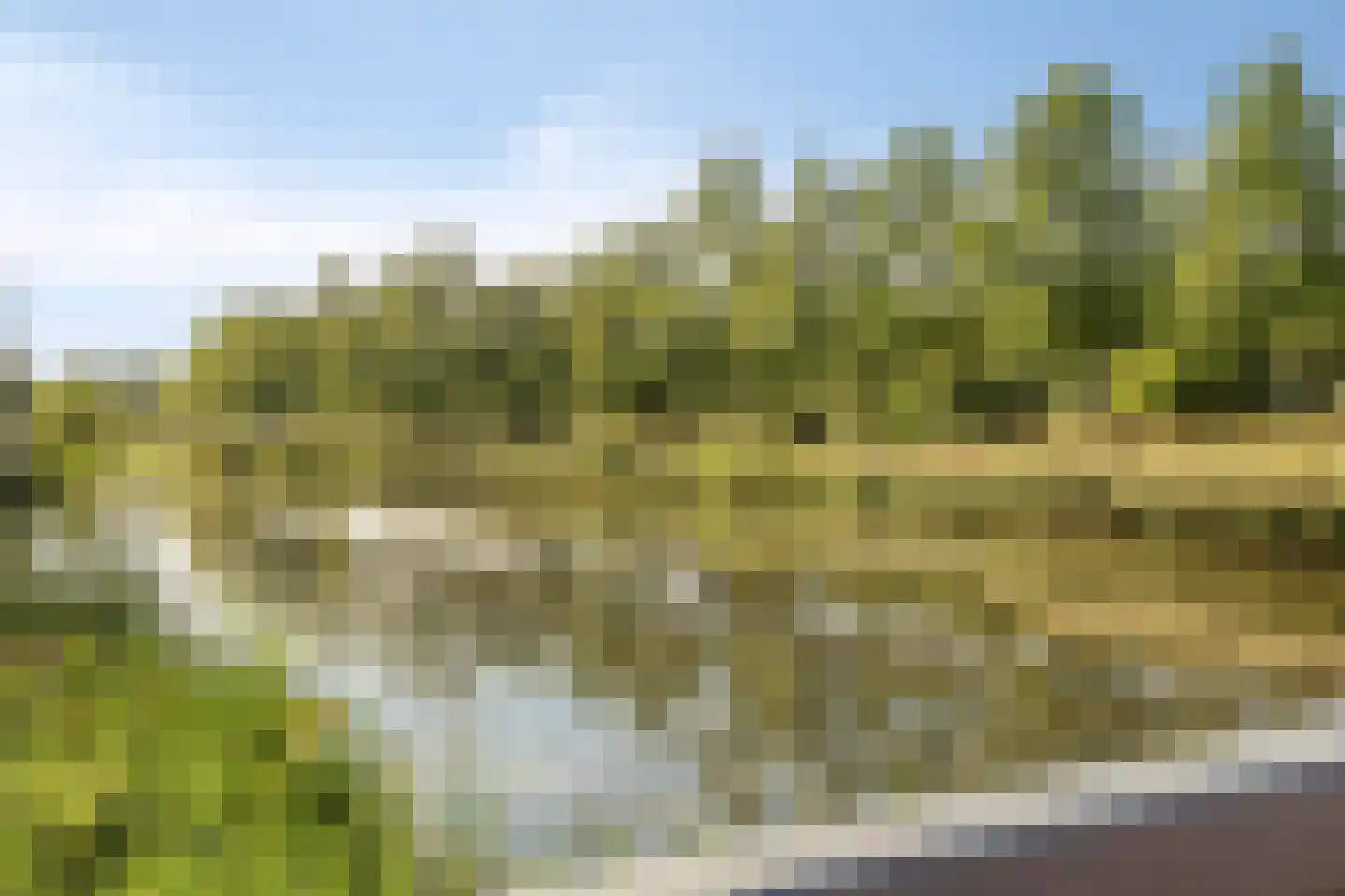 Vlasven 230 Veghel thumbnail 58