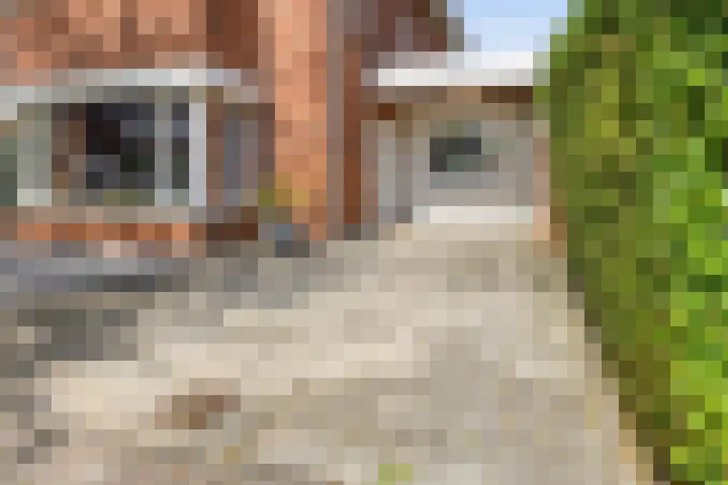 Vlasven 230 Veghel thumbnail 8