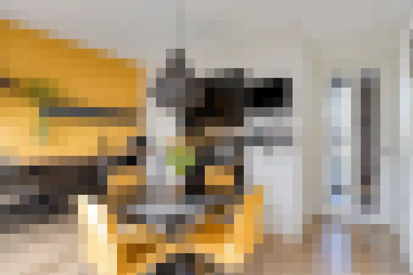 Vlasven 26 Veghel thumbnail 11