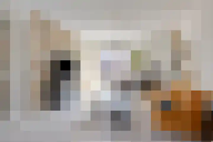 Vlasven 26 Veghel thumbnail 19