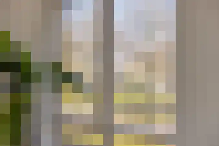 Vlasven 26 Veghel thumbnail 21