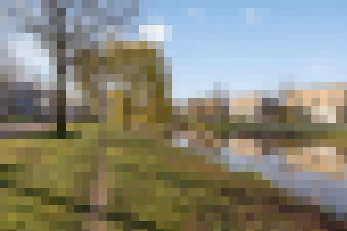 Vlasven 26 Veghel thumbnail 34