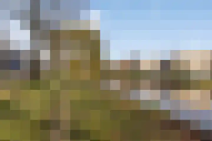 Vlasven 26 Veghel thumbnail 34