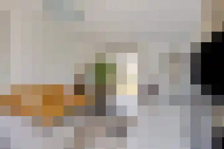 Vlasven 26 Veghel thumbnail 4