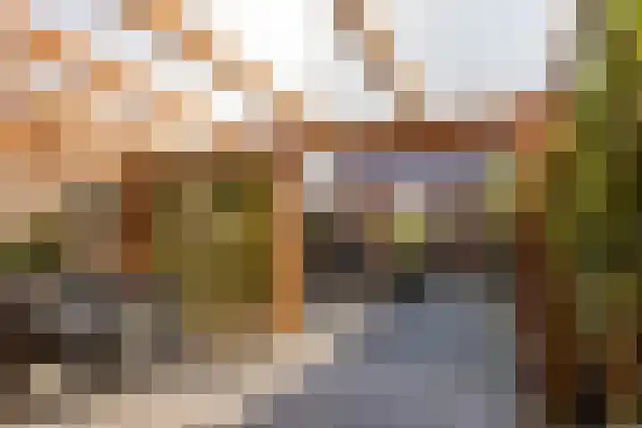 Vlasven 26 Veghel thumbnail 5