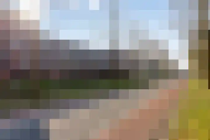 Vlasven 26 Veghel thumbnail 6