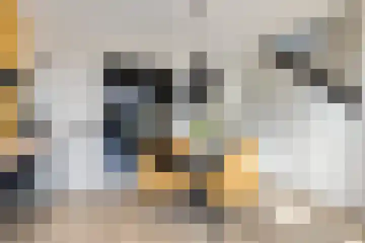 Vlasven 26 Veghel thumbnail 9