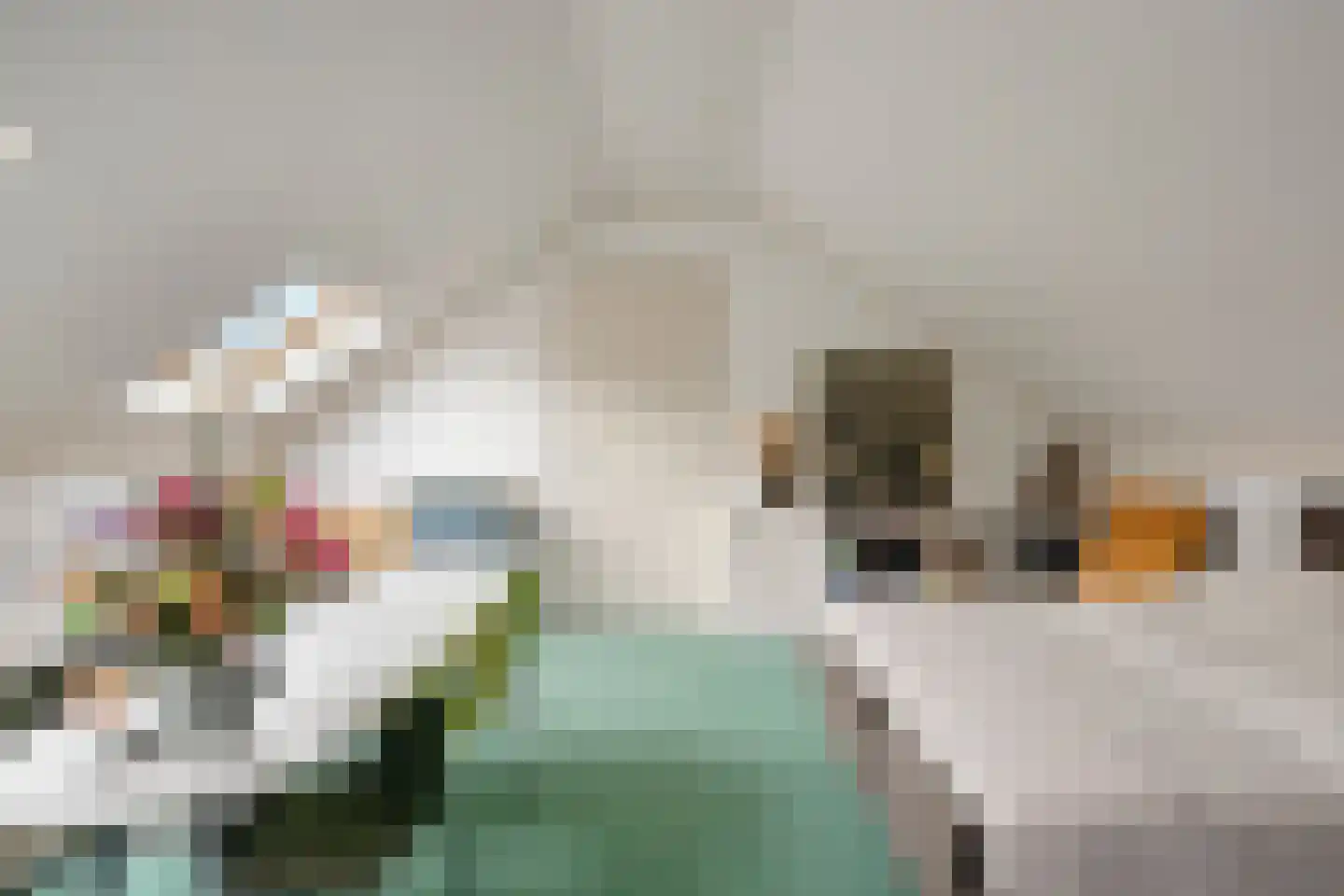Vlasven 3 Veghel thumbnail 38