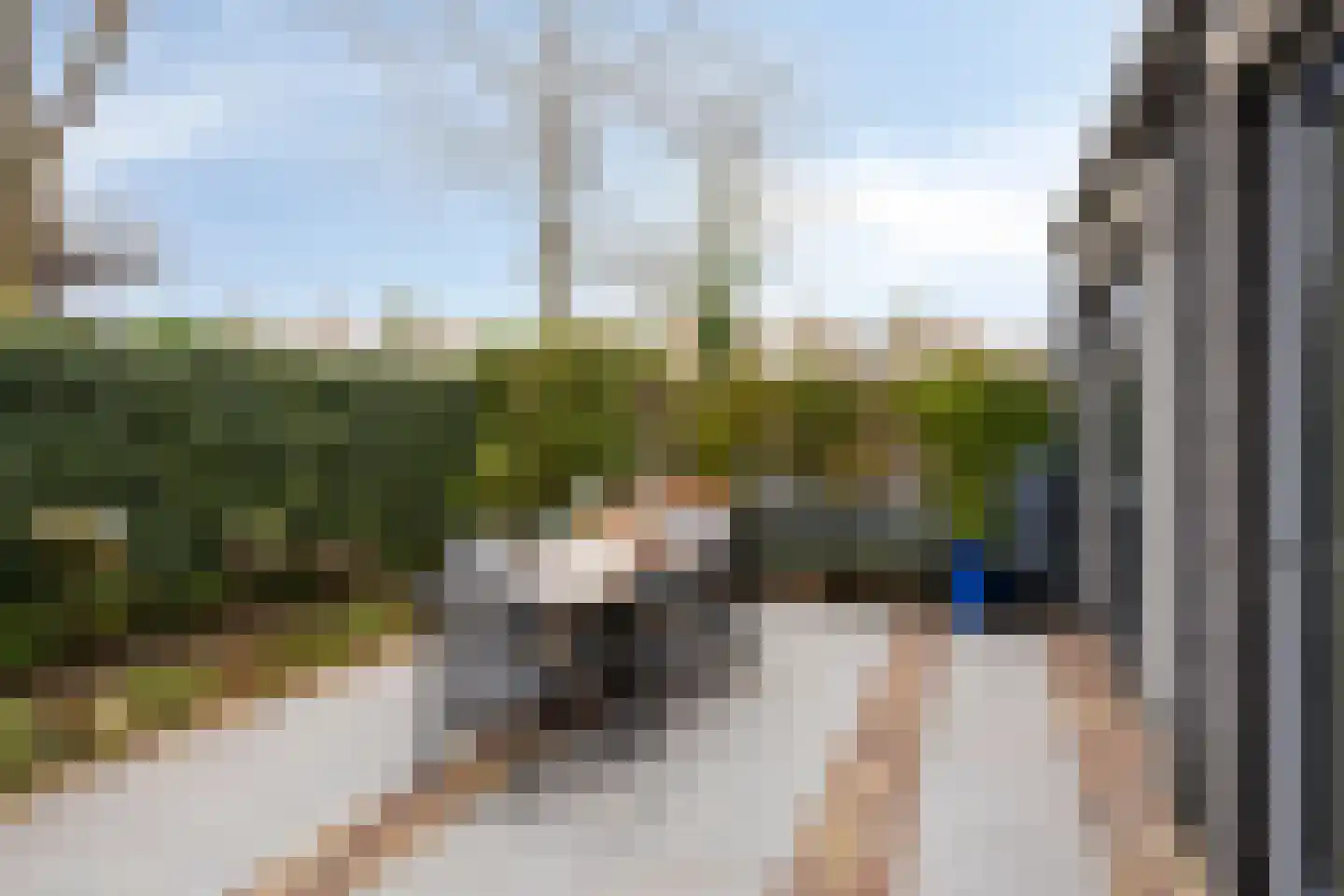 Vlasven 3 Veghel thumbnail 41