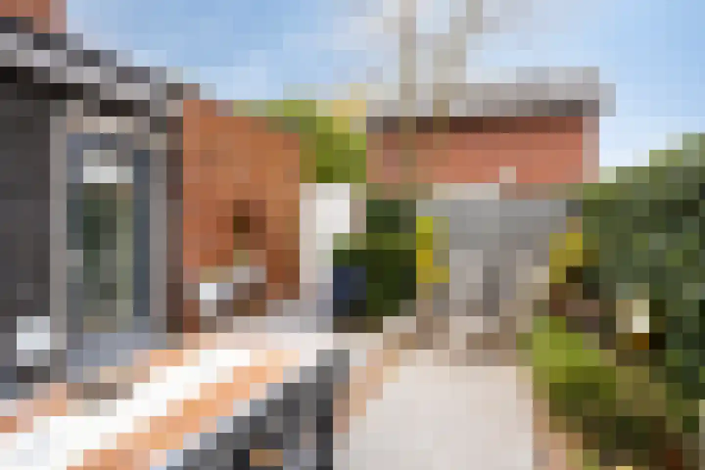 Vlasven 3 Veghel thumbnail 43