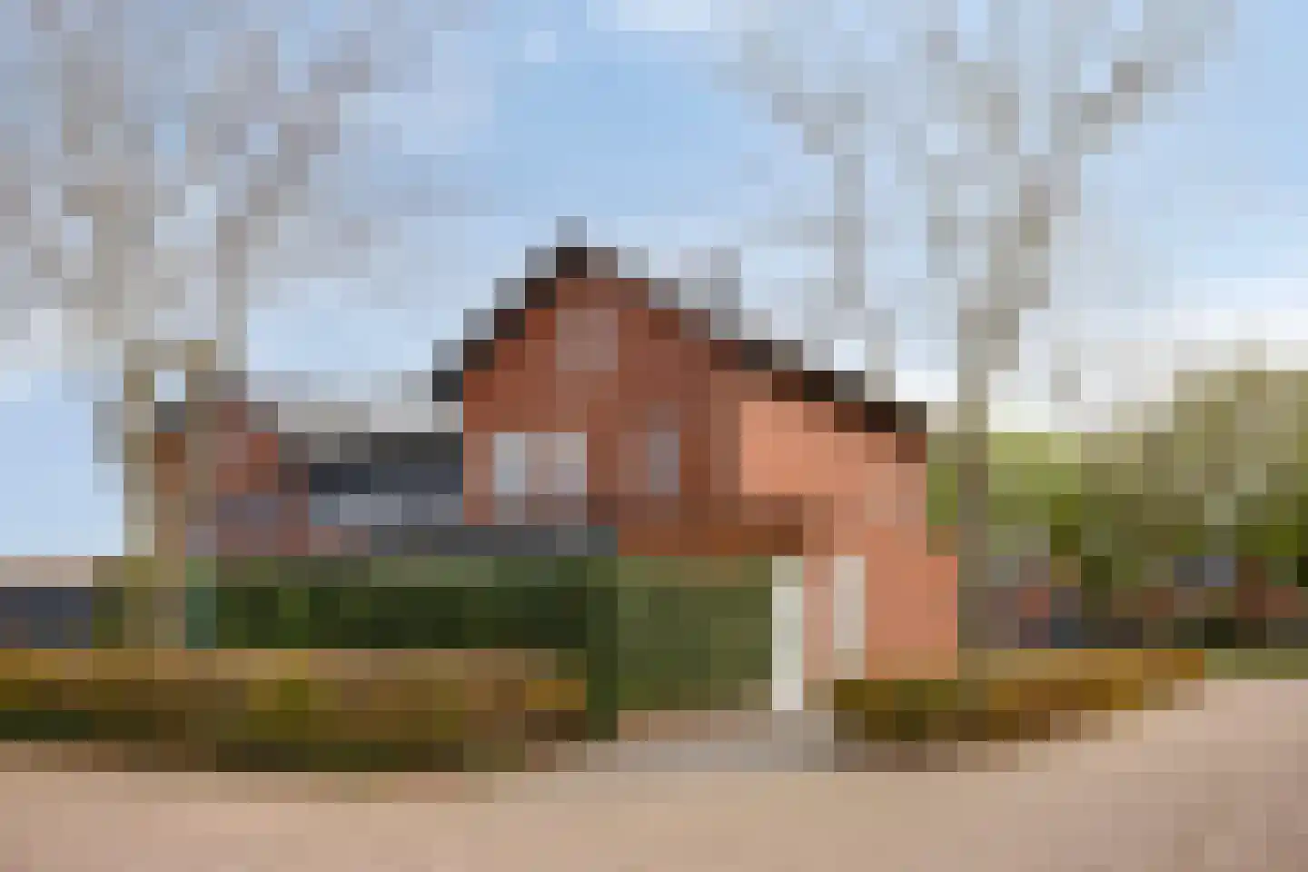 Vlasven 3 Veghel thumbnail 46