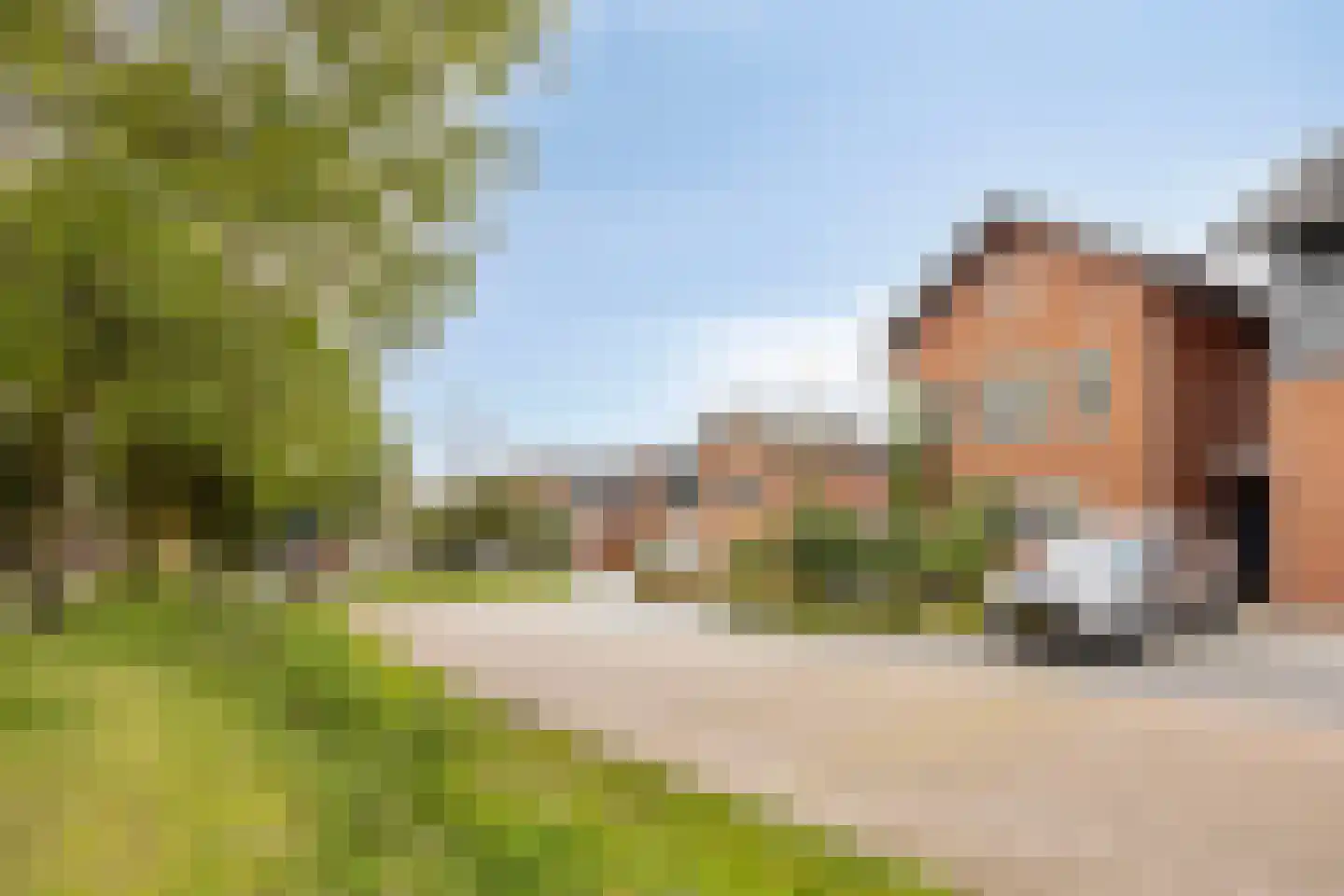 Vlasven 3 Veghel thumbnail 48