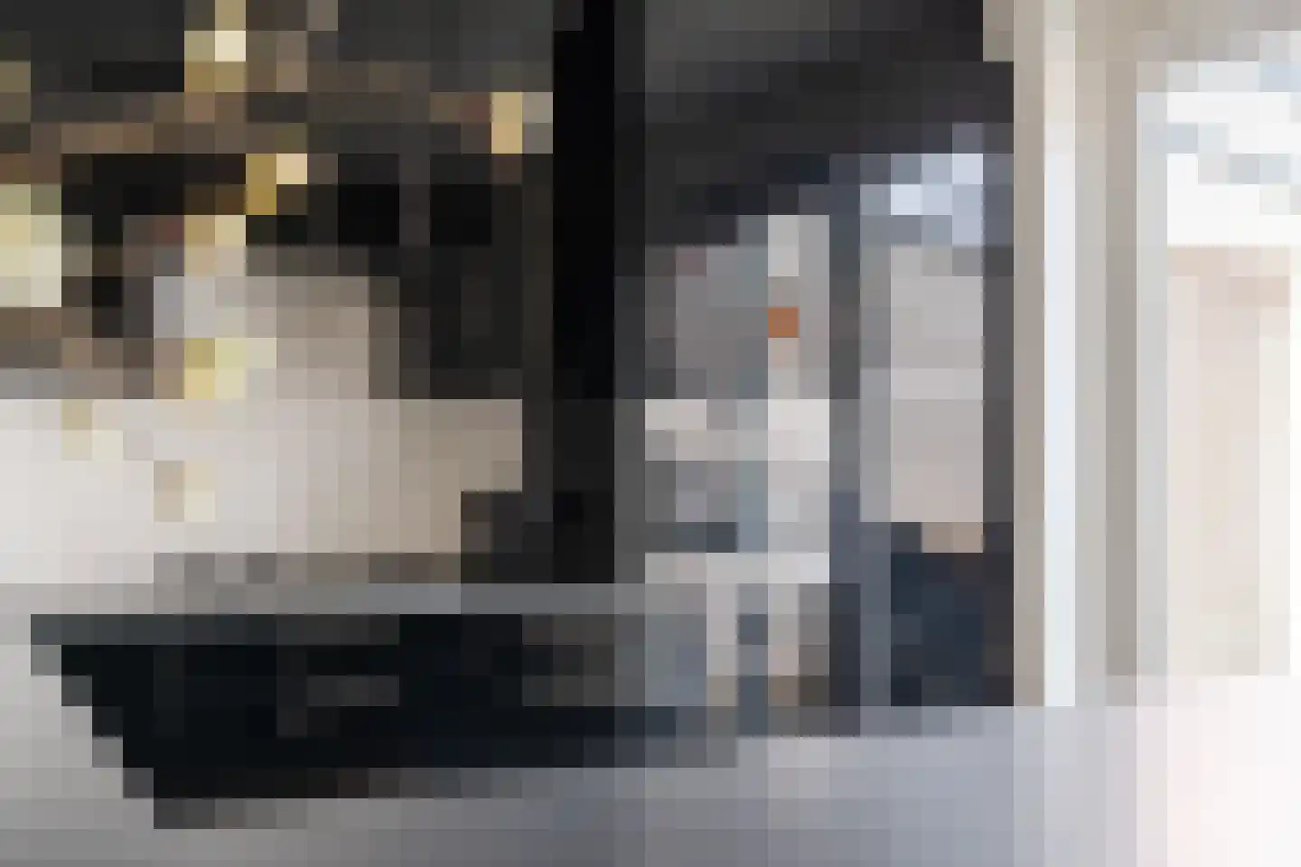 Vlasven 32 Veghel thumbnail 10