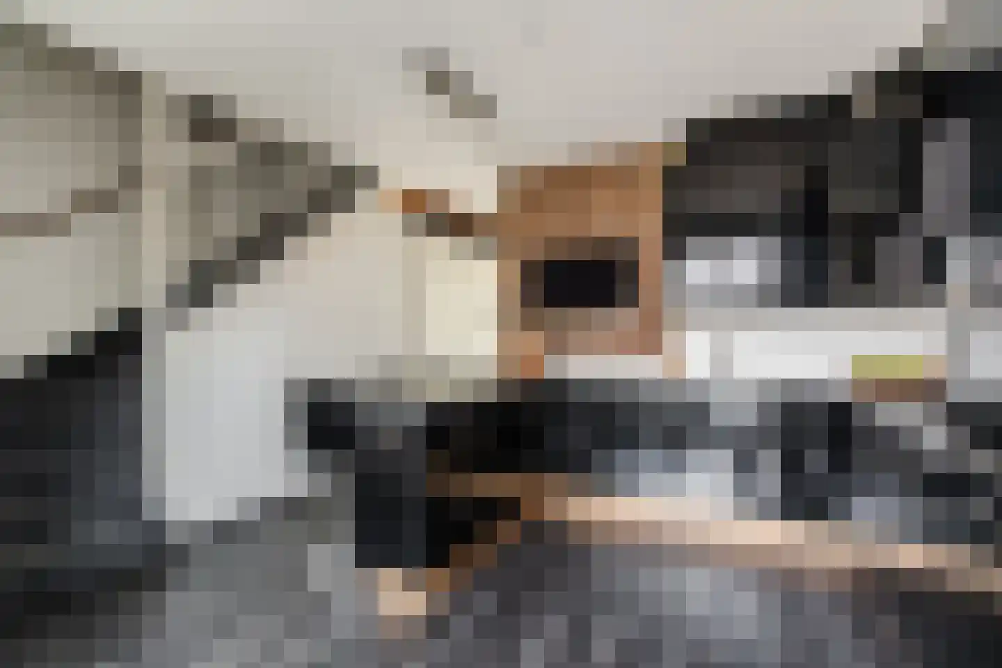 Vlasven 32 Veghel thumbnail 11
