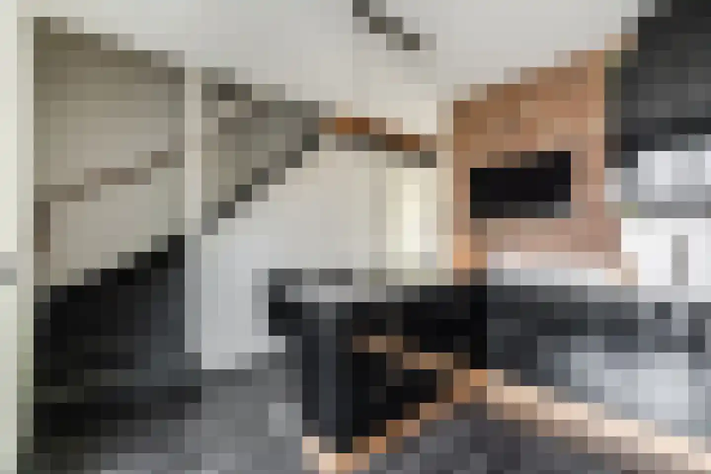Vlasven 32 Veghel thumbnail 12