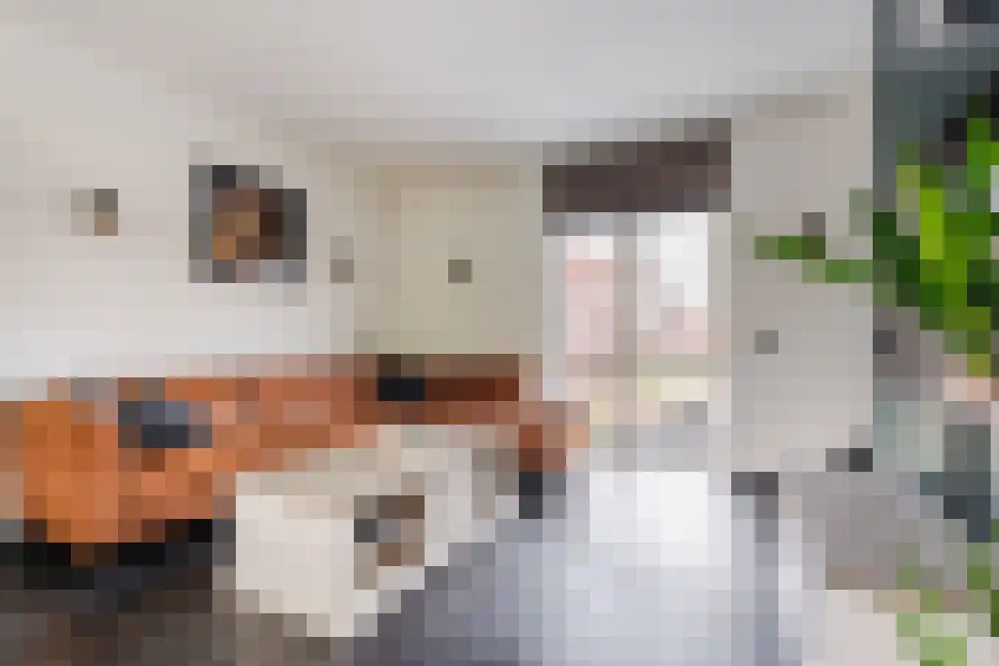 Vlasven 32 Veghel thumbnail 20