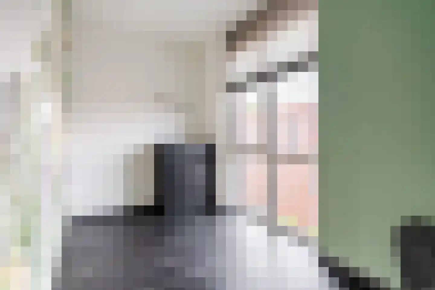 Vlasven 32 Veghel thumbnail 28