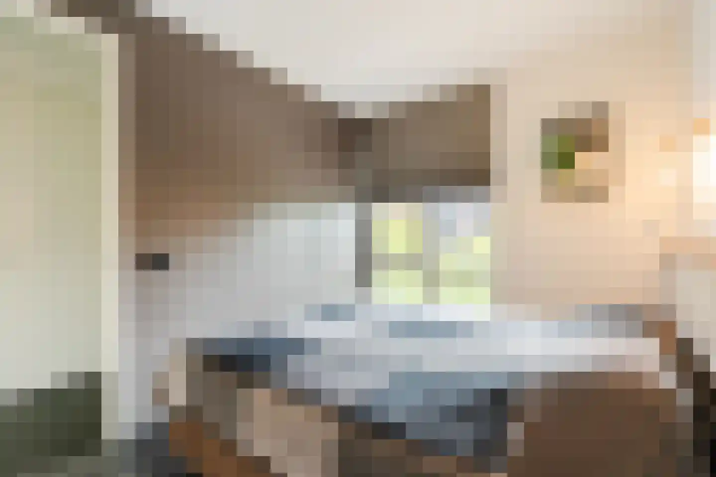 Vlasven 32 Veghel thumbnail 31