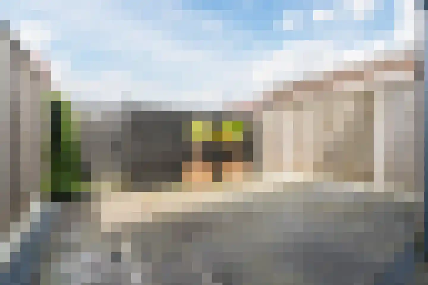 Vlasven 32 Veghel thumbnail 35