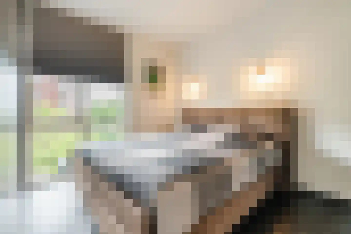 Vlasven 32 Veghel thumbnail 4