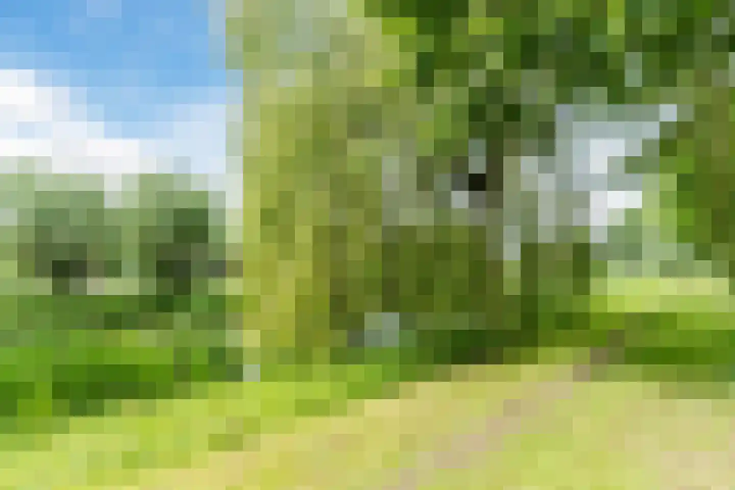 Vlasven 32 Veghel thumbnail 41
