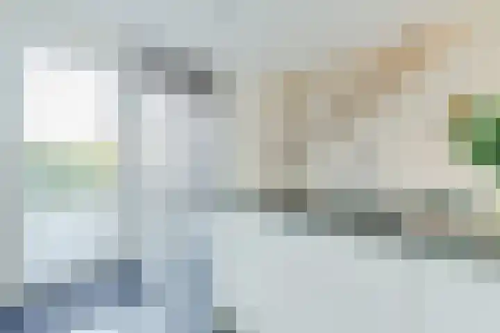 Vlasven 34 Veghel thumbnail 11
