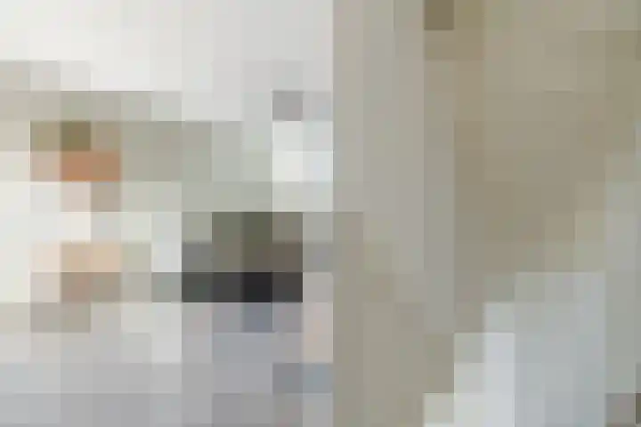 Vlasven 34 Veghel thumbnail 13