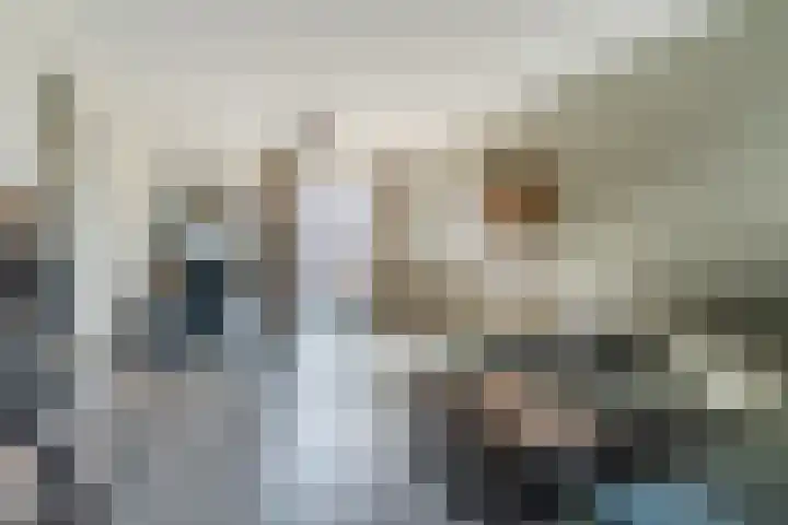 Vlasven 34 Veghel thumbnail 15