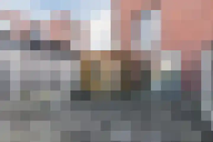 Vlasven 34 Veghel thumbnail 29